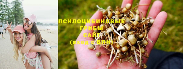 jwh Алексеевка